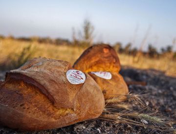 Immagine di PANE ALTAMURA PANIFICIO DI GESU' 500 Gr- Ordinabile solo il lunedi e martedi