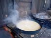 TESTAROLI DI GRANO 23