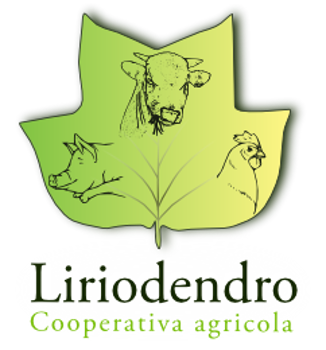 Immagine per il produttore LIRIODENDRO