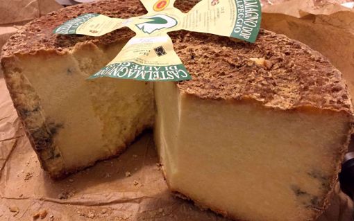 CASTELMAGNO D'ALPEGGIO PRESIDIO SLOW FOOD da 300 Gr p.v.