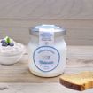BOX YOGURT