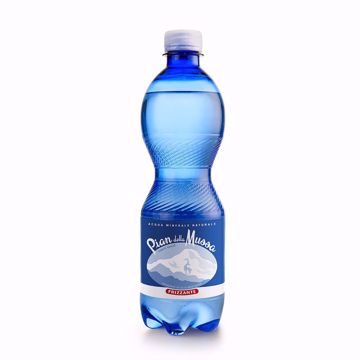 ACQUA MINERALE FRIZZANTE DA 1 1/2 