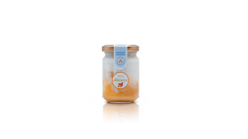 Yogurt albicocca da 125 gr 
